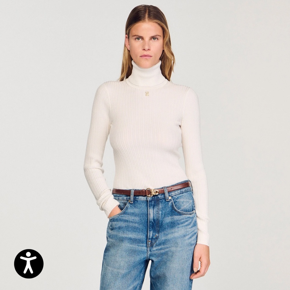 Sandro Wool Turtleneck Sweater